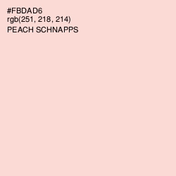 #FBDAD6 - Peach Schnapps Color Image